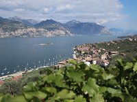IMG 0911