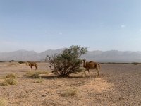 IMG 6885
