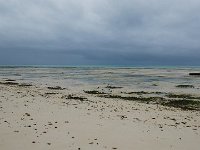 P1050799
